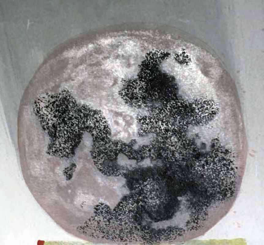 lunanegra